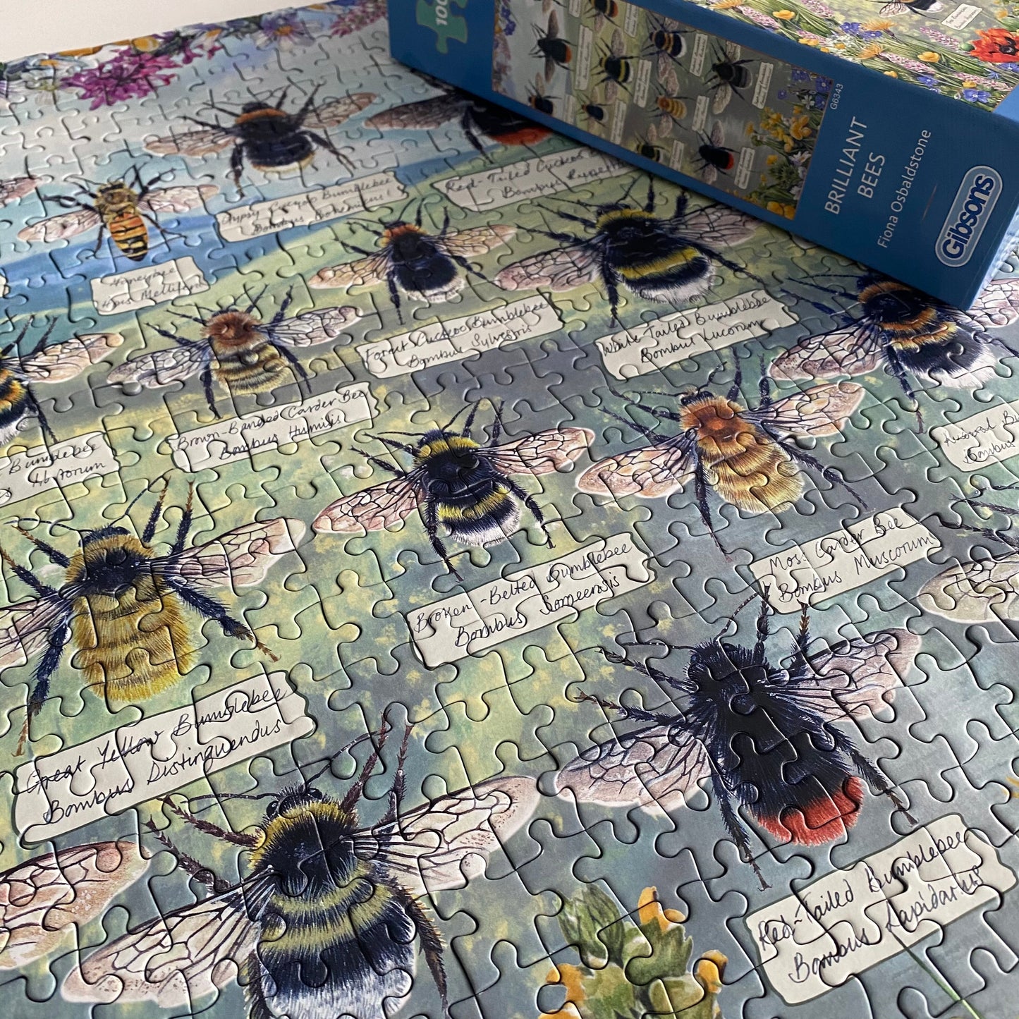 Brilliant Bees