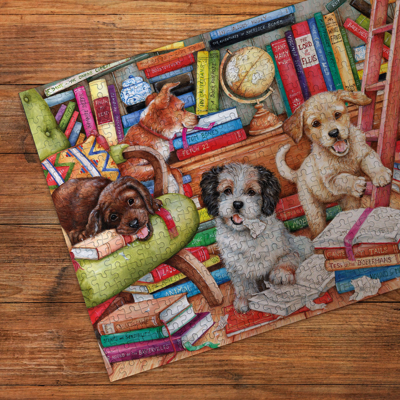 Shaggy Dog Story