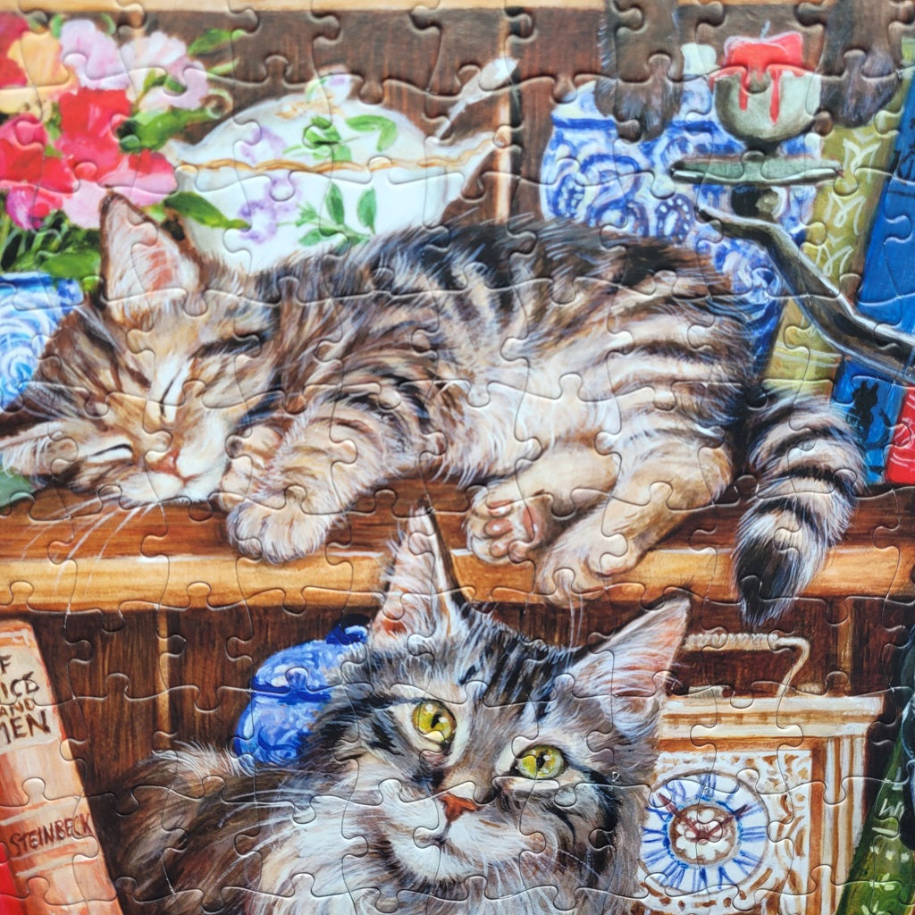 Puss Back in Books Extra Large