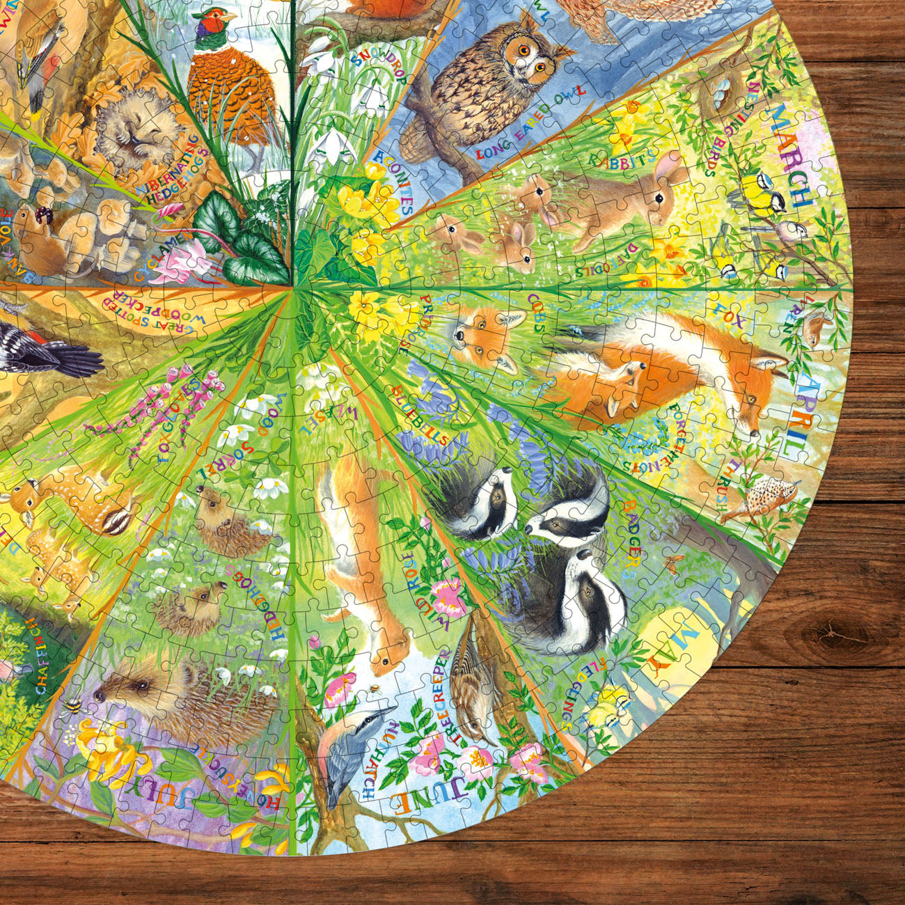 National Trust: A Year in the Forest