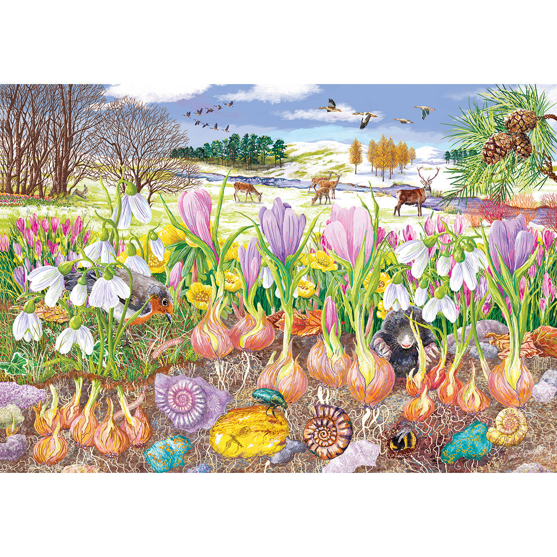 Roots and Shoots