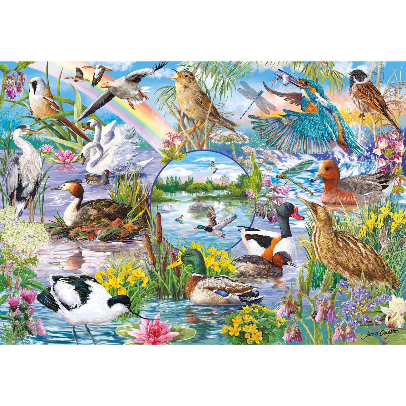 RSPB Wings in the Wild