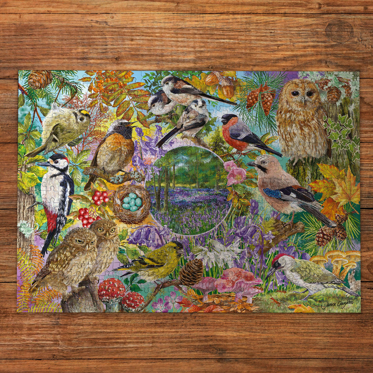 RSPB Wings in the Wild