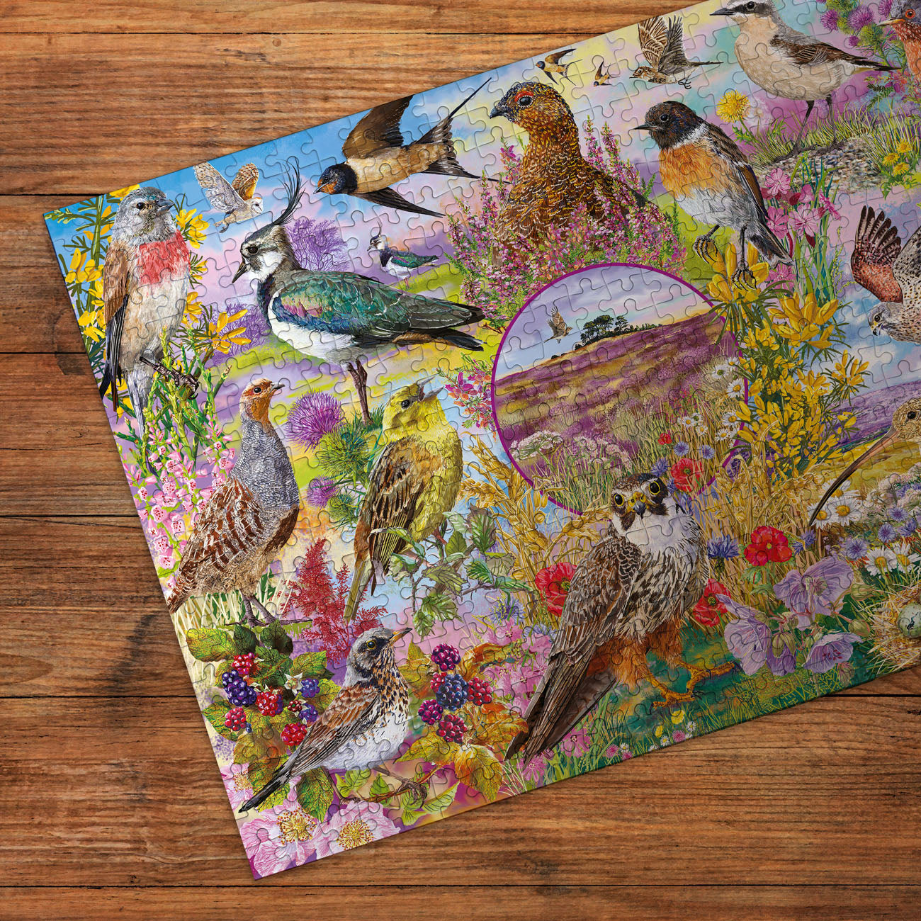 RSPB Wings in the Wild
