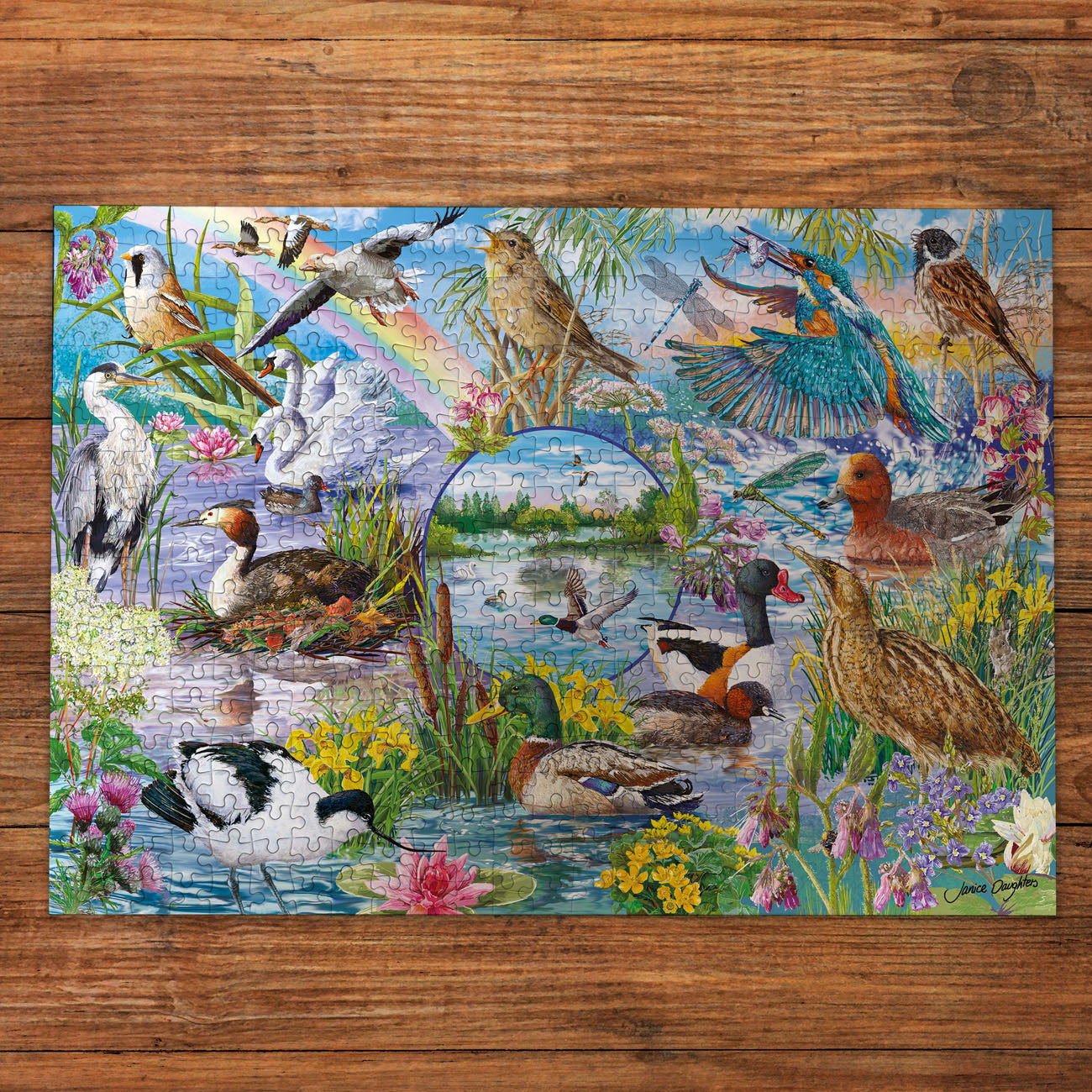 RSPB Wings in the Wild