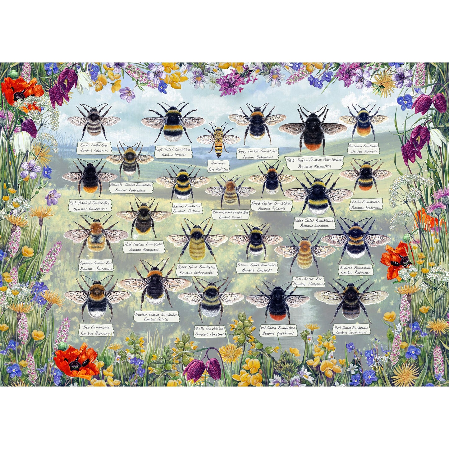 Brilliant Bees