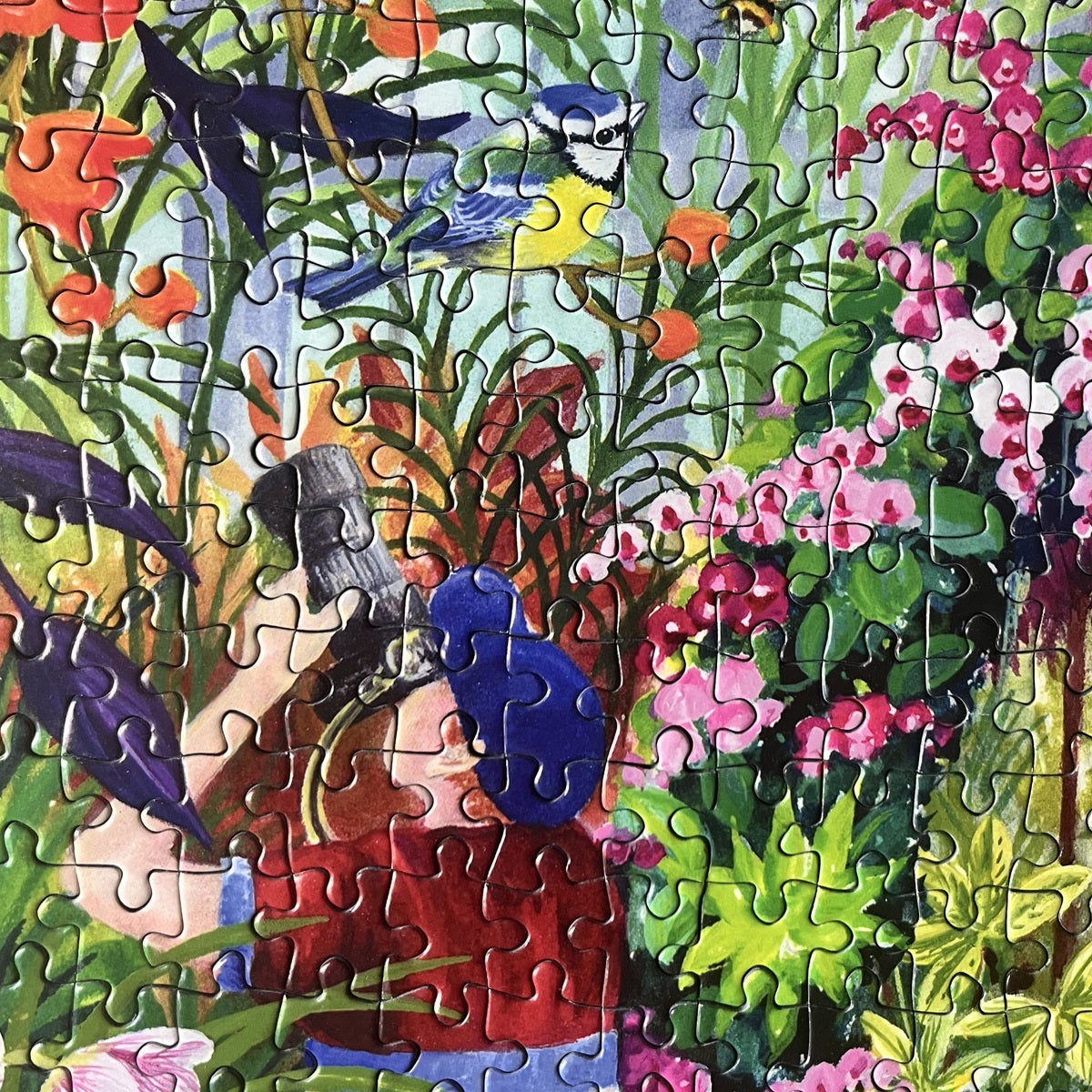 Botanical Blooms