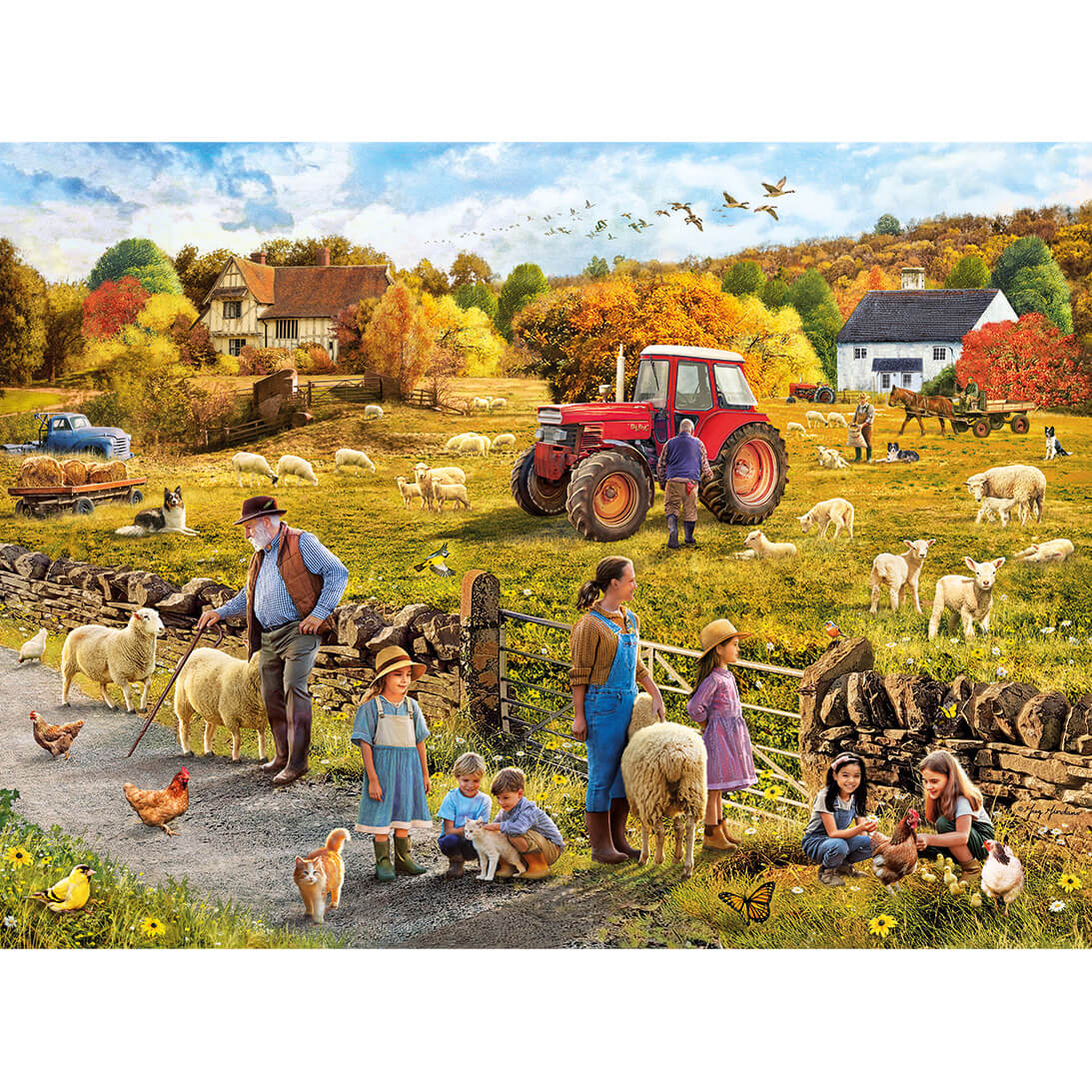 Happy Harvest
