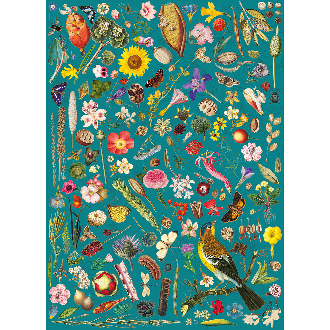 RHS Floral Fantasy