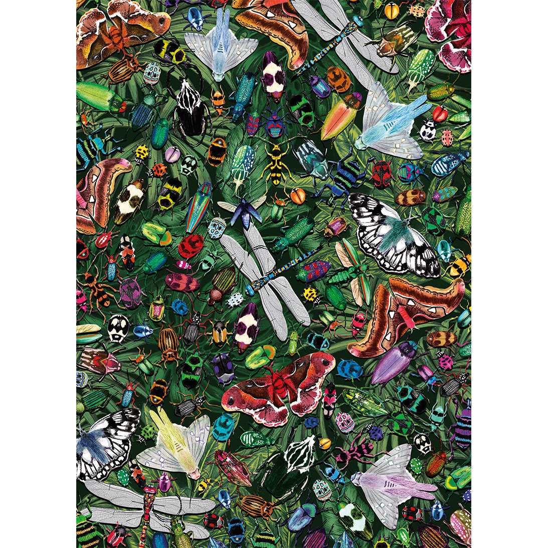 The Art File Winged Wonders