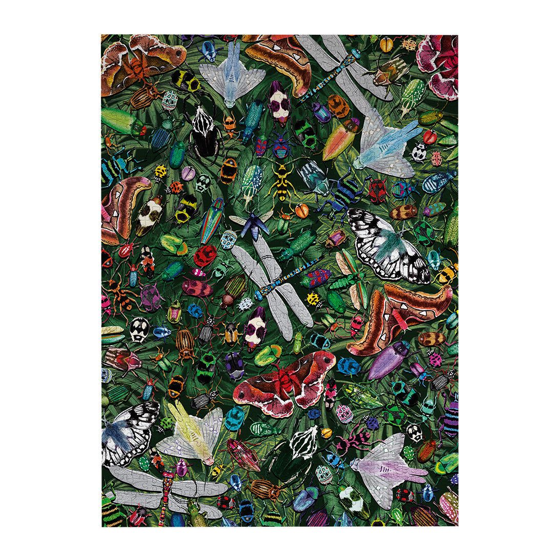 The Art File Winged Wonders