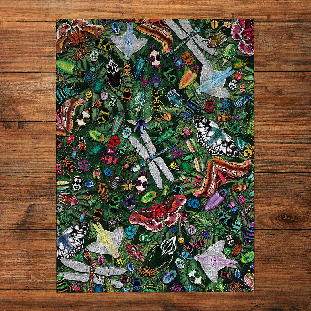 The Art File Winged Wonders