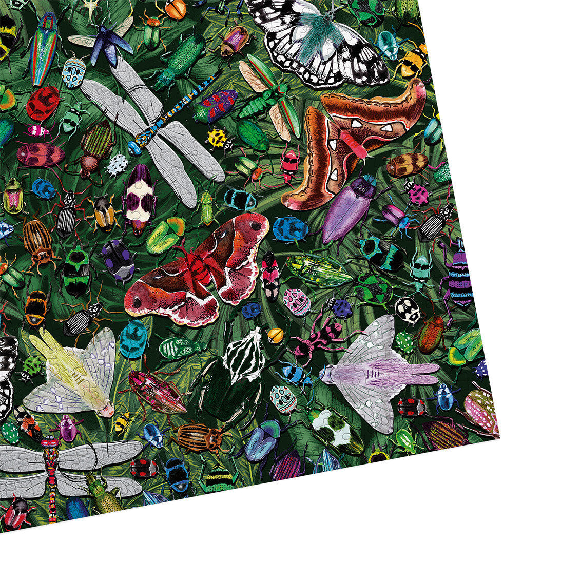 The Art File Winged Wonders