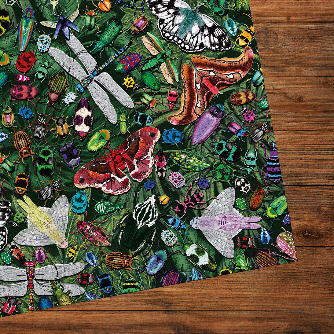 The Art File Winged Wonders