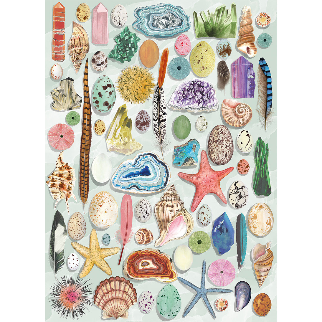 The Art File Natural Curiosities