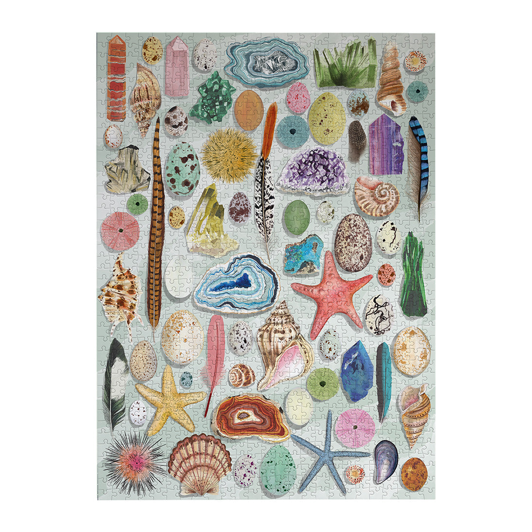 The Art File Natural Curiosities