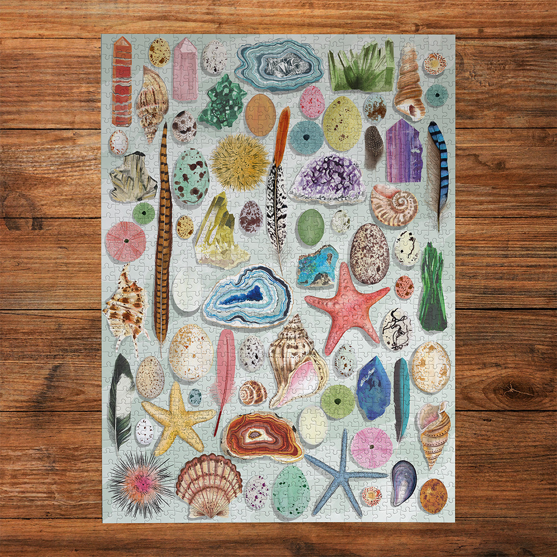 The Art File Natural Curiosities