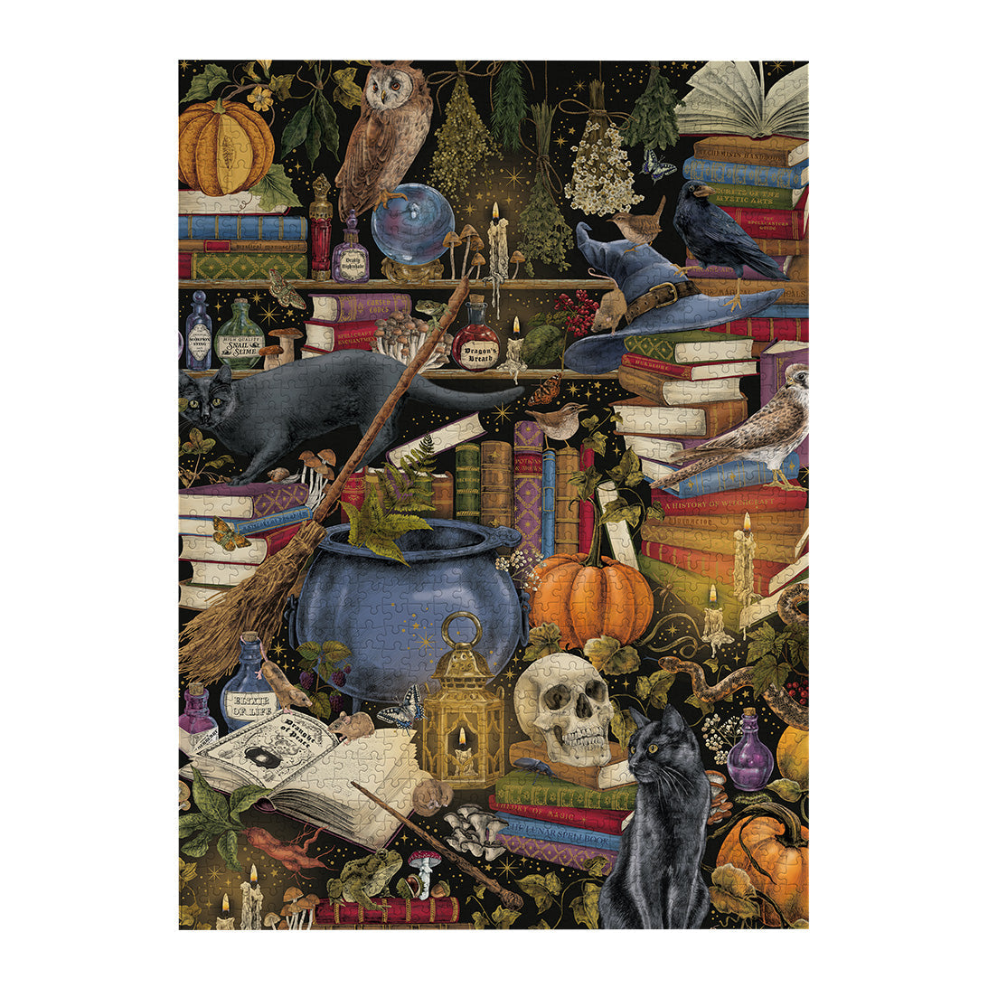 The Art File Witchcraft