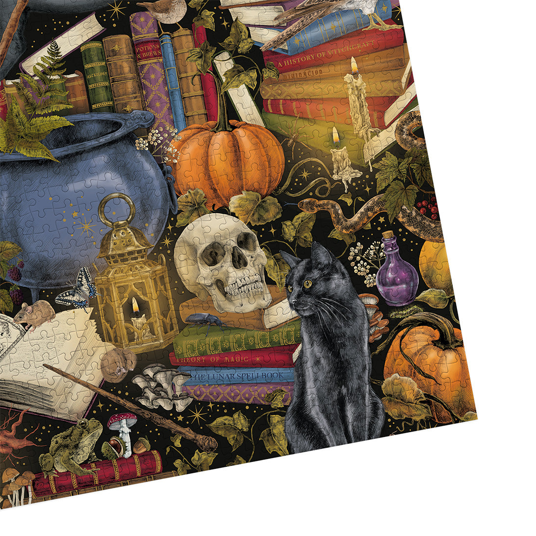 The Art File Witchcraft