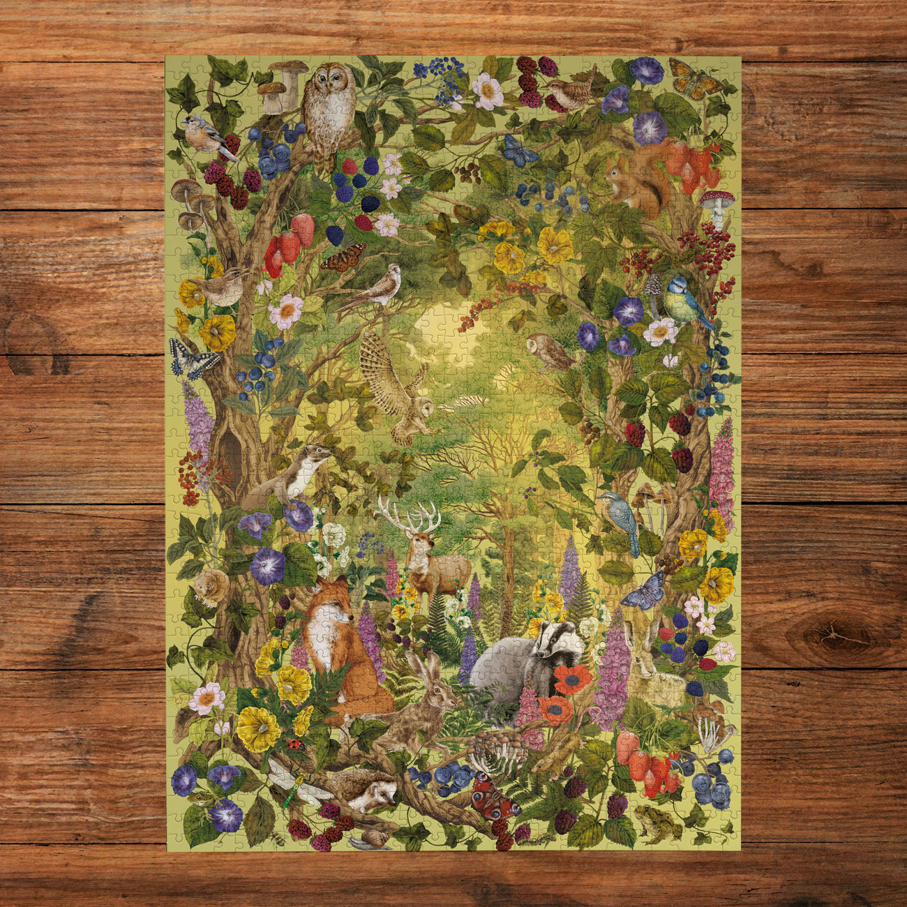 The Art File Sunlight Glade