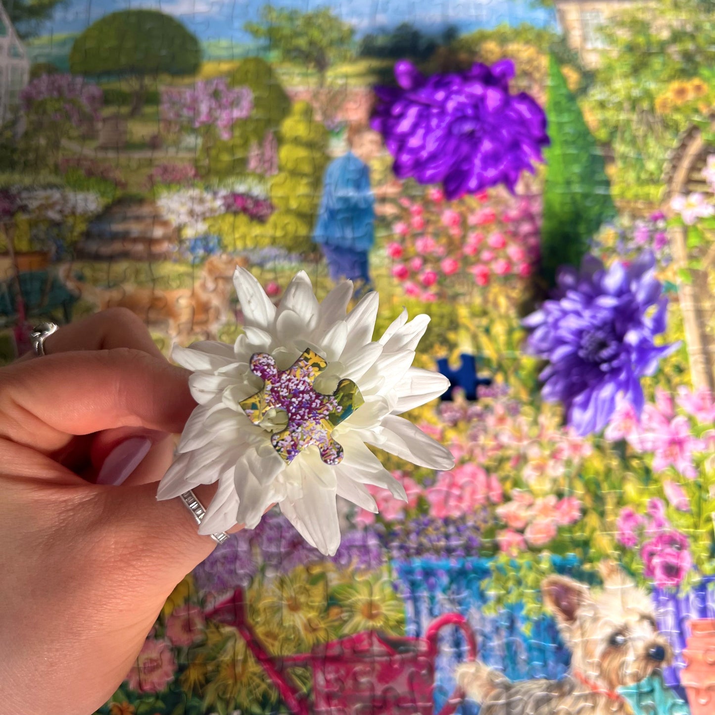 Garden In Bloom